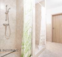 Na predaj 7-izb. RD s obchod. priestorom, Dun. Streda - Kúpeľňa s keramickými obkladmi, sprchovým kútom a drevenými dverami.