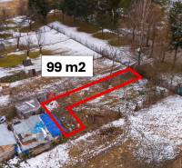 Nálepkovo – 99 m2 STAVEBNÝ pozemok v obci - Záhrady v Nálepkove, ohradený pozemok 99 m², zasnežený terén, stromy, budovy.