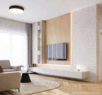 PROJEKT POD VINICOU | 4-IZB. BYT, UZAVRETÝ AREÁL, HOLOBYT, NOVOSTAVBA - Obývačka v 4-izbovom byte s podlahou s dreveným dekorom, svetlou sedačkou a TV na stene.