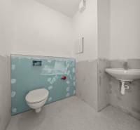 PROJEKT POD VINICOU | 4-IZB. BYT, UZAVRETÝ AREÁL, HOLOBYT, NOVOSTAVBA - Zariadenie toalety v 4-izbovom byte, pripravené na dokončenie.