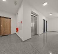 PROJEKT POD VINICOU | 4-IZB. BYT, UZAVRETÝ AREÁL, HOLOBYT, NOVOSTAVBA - Vstupná chodba s dverami a výťahom v 4-izbovom byte, podlaha s dreveným dekorom.