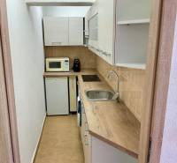 I Predaj Investičného 1-izbového bytu s veľkorysou loggiou  - Kuchyňa v 1-izbovom byte s dreveným dekorom, mikrovlnkou a vstavanými spotrebičmi.