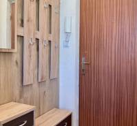 I Predaj Investičného 1-izbového bytu s veľkorysou loggiou  - Vstupná chodba v 1-izbovom byte s vešiakovou stenou a dreveným dekorom.