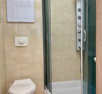 I Predaj Investičného 1-izbového bytu s veľkorysou loggiou  - Kúpeľňa so sprchovacím kútom a toaletou v 1-izbovom byte.