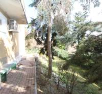 1-izb. kompletne zrekonštr.byt na Hradnom kopci (Lichardova ul.)  - Záhrada pri dome v Bratislave - Starom Meste na Lichardovej ulici s ihličnatými stromami.