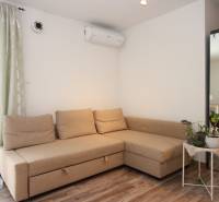 1-izb. kompletne zrekonštr.byt na Hradnom kopci (Lichardova ul.)  - Pohovka v 1-izbovom byte s kvetinami, zrkadlom a podlahou s dreveným dekorom.