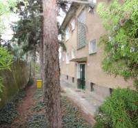 1-izb. kompletne zrekonštr.byt na Hradnom kopci (Lichardova ul.)  - Exteriér budovy na Lichardovej ulici v Bratislave - Staré Mesto, obklopený stromami a kríkmi.