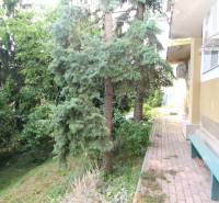 1-izb. kompletne zrekonštr.byt na Hradnom kopci (Lichardova ul.)  - V Bratislave na Lichardovej ulici sa pri 1-izbovom byte nachádza lavička a stromy.