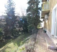 1-izb. kompletne zrekonštr.byt na Hradnom kopci (Lichardova ul.)  - Exteriér s chodníkom a stromami v lokalite Bratislava - Staré Mesto na Lichardovej ulici.