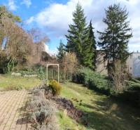 1-izb. kompletne zrekonštr.byt na Hradnom kopci (Lichardova ul.)  - Záhrada pri dome s ihličnanmi na ulici Lichardova v Bratislave - Starom Meste.