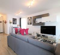 NUERA︱ SLNEČNICE- slnečný 2izbový byt s výhľadom na hrad - Obývacia izba v 2-izbovom byte so sivou sedačkou, podlahou s dreveným dekorom a televízorom.