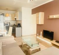 NA PRENÁJOM PEKNÝ 2-IZBOVÝ BYT, TERASA - Obývacia izba v 2-izbovom byte s pohovkou, TV, kuchyňou a podlahou s dreveným dekorom.