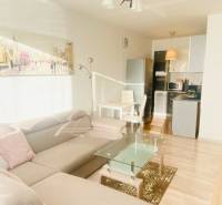 NA PRENÁJOM PEKNÝ 2-IZBOVÝ BYT, TERASA - Obývačka s pohovkou a kuchyňou, 2-izbový byt, podlaha s dreveným dekorom.