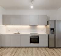 PREDAJ - 4-izb. byt na Sklenárovej ul., 67 m2, komplet. rekonštrukcia - Kuchyňa v 4-izbovom byte s podlahou s dreveným dekorom a zabudovanými spotrebičmi.