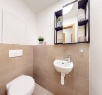 Na predaj moderný 3i byt v novostavbe Ovocné sady s parkovaním, BA - Malá kúpeľňa v 3-izbovom byte s umývadlom, zrkadlom a kvetinovou dekoráciou.