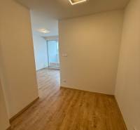 Na predaj 1,5-izbový byt v novostavbe GREENSIDE Trebišov - Chodba v 1-izbovom byte s podlahou s dreveným dekorom a moderným svietidlom.