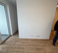 Na predaj 1,5-izbový byt v novostavbe GREENSIDE Trebišov - Interiér v 1-izbovom byte s podlahou s dreveným dekorom a balkónom.