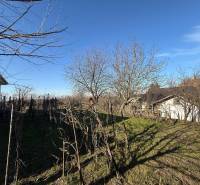 Pozemok pre 2 rodinné domy Svätý Peter - Pozemok na bývanie na Cintorínskej ulici v Svätom Petri s ovocnými stromami.