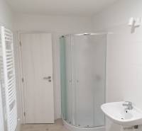 Rodinný dom v obci Bernolákovo, po kompletnej rekonštrukcii - Kúpeľňa s toaletou, sprchovým kútom a podlahou s dreveným dekorom v rodinnom dome.