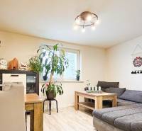 Rodinný dom v obci Bernolákovo, po kompletnej rekonštrukcii - Obývacia izba s pohovkou, jedálenským stolom, izbovými rastlinami a podlahou s dreveným dekorom.