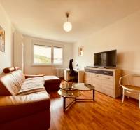 EXKLUZÍVNE! | Krásny 2-izbový byt | 52m² | Považanova - Obývacia izba v 2-izbovom byte s podlahou s dreveným dekorom, sedačka a nábytok.