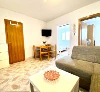 NIN-GRBLJANSKE VIKENDICE - dom s dvoma bytmi - Obývacia izba v rodinnom dome s pohovkou, stolíkom a televíziou na stene.