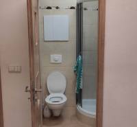 1-izb. byt, Krížná ul., Staré Mesto s veľkou lodžiou - Kúpeľňa v 1-izbovom byte s toaletou, sprchovým kútom a dlažbou.