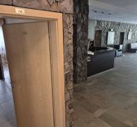SKI MAKOV, 1 izbový byt - Apartmán 46 m2 - Kamenné steny a drevené dvere vedúce do kancelárie v 1-izbovom byte.