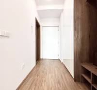 I PRENÁJOM - Nový moderný 2-izb. byt, TEHELNÉ POLE, Bajkalská - Na ulici Bajkalská sa nachádza chodba v 2-izbovom byte s drevenou podlahou.