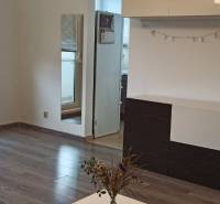 Prenájom 2-izbový byt na začiatku Petržalky - Obývačka v 2-izbovom byte s podlahou s dreveným dekorom a nábytkom.