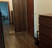 Prenájom 2-izbový byt na začiatku Petržalky - Chodba v 2-izbovom byte s podlahou s dreveným dekorom, vstavanou skriňou a zrkadlovým prvkom.