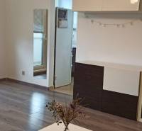 Prenájom 2-izbový byt na začiatku Petržalky - Obývacia izba v 2-izbovom byte s podlahou s dreveným dekorom a vstupom na balkón.