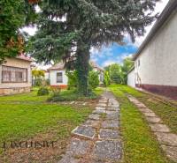 NA PREDAJ 2 ROD. DOMY NA 12-ÁROVOM POZEMKU, MALÁ MAČA - Záhrada pri rodinnom dome na ulici Malá Mača v Galante s veľkým stromom a chodníkom.