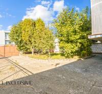 REZERVOVANÉ 4-IZBOVÝ POSCHODOVÝ RODINNÝ DOM, VEĽKÁ MAČ - Brána a zeleň v záhrade rodinného domu vo Veľkej Mači.