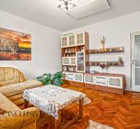 NA PREDAJ 5-IZBOVÝ RODINNÝ DOM NA 15Á POZEMKU,ŠALGOČKA - Obývacia izba v rodinnom dome s pohovkou, nábytkom a podlahou s dreveným dekorom.