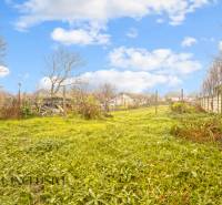 NA PREDAJ 4-IZBOVÝ RODINNÝ DOM V OBCI MOSTOVÁ - Záhrada v rodinnom dome Mostovej s trávnikom, stromami a modrou oblohou.