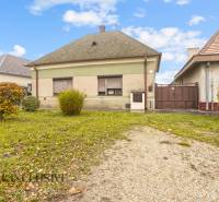 NA PREDAJ 4-IZBOVÝ RODINNÝ DOM V OBCI MOSTOVÁ - Rodinný dom v Mostovej so zelenou fasádou a záhradou s kríkmi.