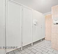 NA PREDAJ ŠKOLSKÁ BUDOVA NA VEĽKOM POZEMKU, MOSTOVÁ - Interiér budovy so sociálnymi zariadeniami, biele dvere a svetlé obklady.