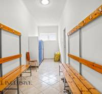 NA PREDAJ ŠKOLSKÁ BUDOVA NA VEĽKOM POZEMKU, MOSTOVÁ - Šatňa v budove s drevenými lavicami, skriňami a dlažbou.