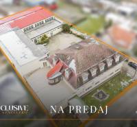 NA PREDAJ ŠKOLSKÁ BUDOVA NA VEĽKOM POZEMKU, MOSTOVÁ - Budova školy v Mostovej, zobrazená z vtáčej perspektívy, s vonkajšími priestormi.