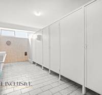 NA PREDAJ ŠKOLSKÁ BUDOVA NA VEĽKOM POZEMKU, MOSTOVÁ - Interiér budovy s radom umývadiel a toaletných kabínok, obklady v béžovej farbe.