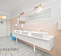 NA PREDAJ ŠKOLSKÁ BUDOVA NA VEĽKOM POZEMKU, MOSTOVÁ - Umývadlá v interiéri budovy s dlaždicovými stenami a veľkým zrkadlom.