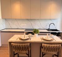 Prenájom: 2 izbový byt v obci Staškov (316-B) - Kuchyňa s barovým pultom, podlahou s dreveným dekorom a svetlým nábytkom v 2-izbovom byte.