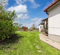 NA PREDAJ RODINNÝ DOM NA 9,5 ÁROVOM POZEMKU, OHRADY - Záhrada rodinného domu v Dunajskej Strede na ulici Ohrady s trávnikom a stromami.