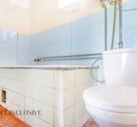 NA PREDAJ RODINNÝ DOM NA 9,5 ÁROVOM POZEMKU, OHRADY - Kúpeľňa s bledomodrými kachličkami a vaňou v rodinnom dome.