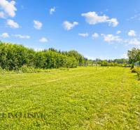 REZERVOVANÉ 3-IZBOVÝ RODINNÝ DOM V OBCI BALOŇ - Trávnatý pozemok pri rodinnom dome v Baloni s hustým živým plotom a stromami.