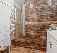 REZERVOVANÉ ZREKONŠTR. 6 IZBOVÝ RODINNÝ DOM, KOŠÚTY - Kúpeľňa s úložnou skriňou, otvoreným sprchovým kútom a dekoráciami v Rodinnom dome.