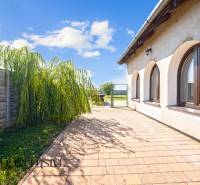 REZERVOVANÉ ZREKONŠTR. 6 IZBOVÝ RODINNÝ DOM, KOŠÚTY - Dlaždená terasa vedľa rodinného domu v Košútoch s previsovou vŕbou a plotom.