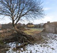 Na predaj 4-izbový rodinný dom, Dolné Saliby - Záhrada pri rodinnom dome v Dolných Salibách s konármi a zvyškami snehu.