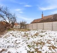 Na predaj 3-izbový rodinný dom, Dobrohošť - Zasnežená záhrada Rodinného domu v Dobrohošti s ovocnými stromami a betónovým plotom.